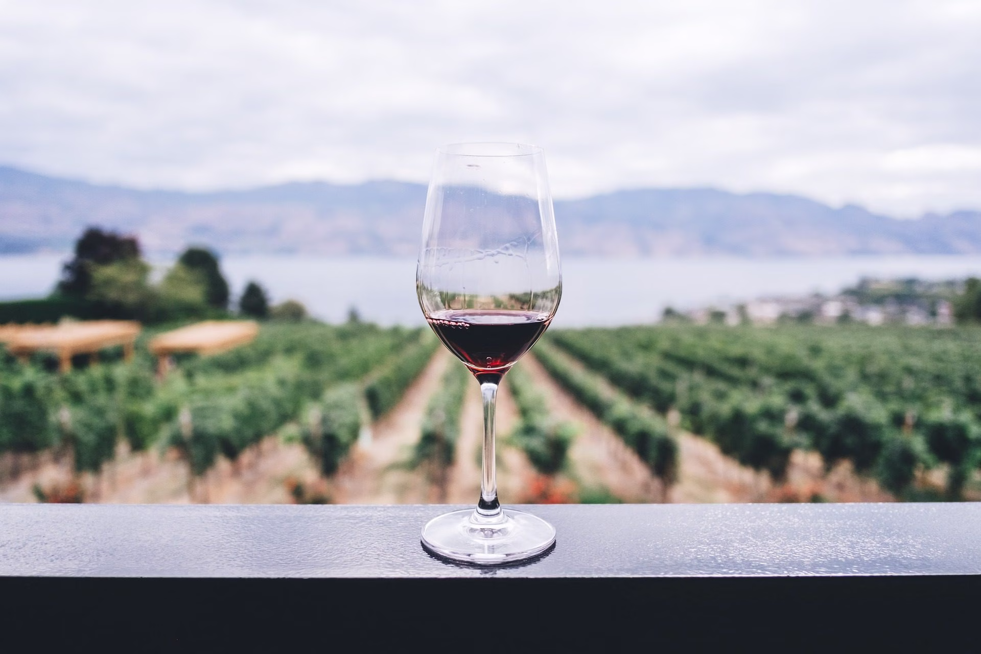 Cata de vinos durante la estancia en Cerocahui, Chihuahua.